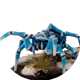 Polarspinne